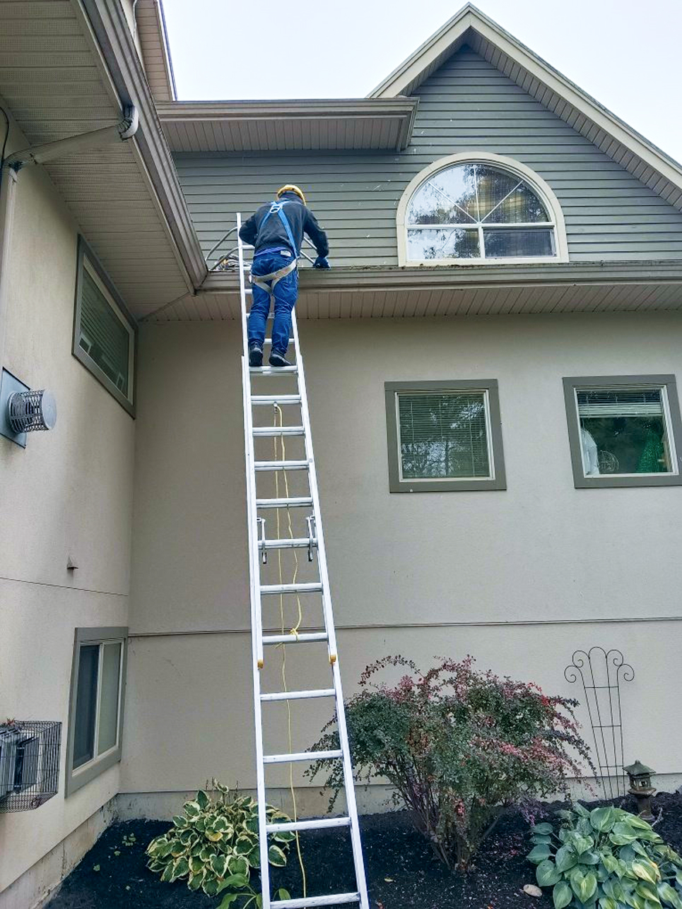 Gutter Guard Install & Clean