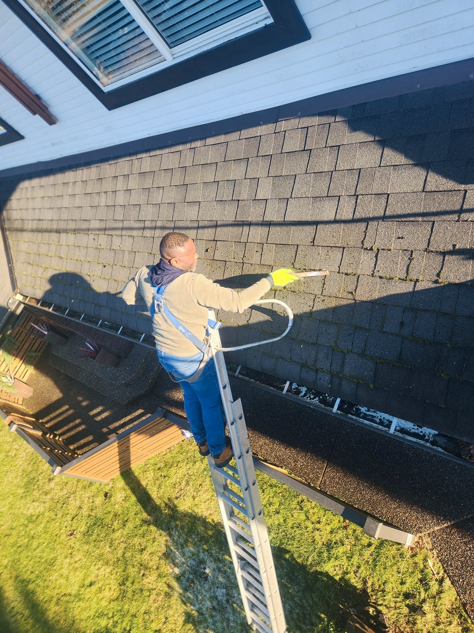 Roof Moss Removal & Spray