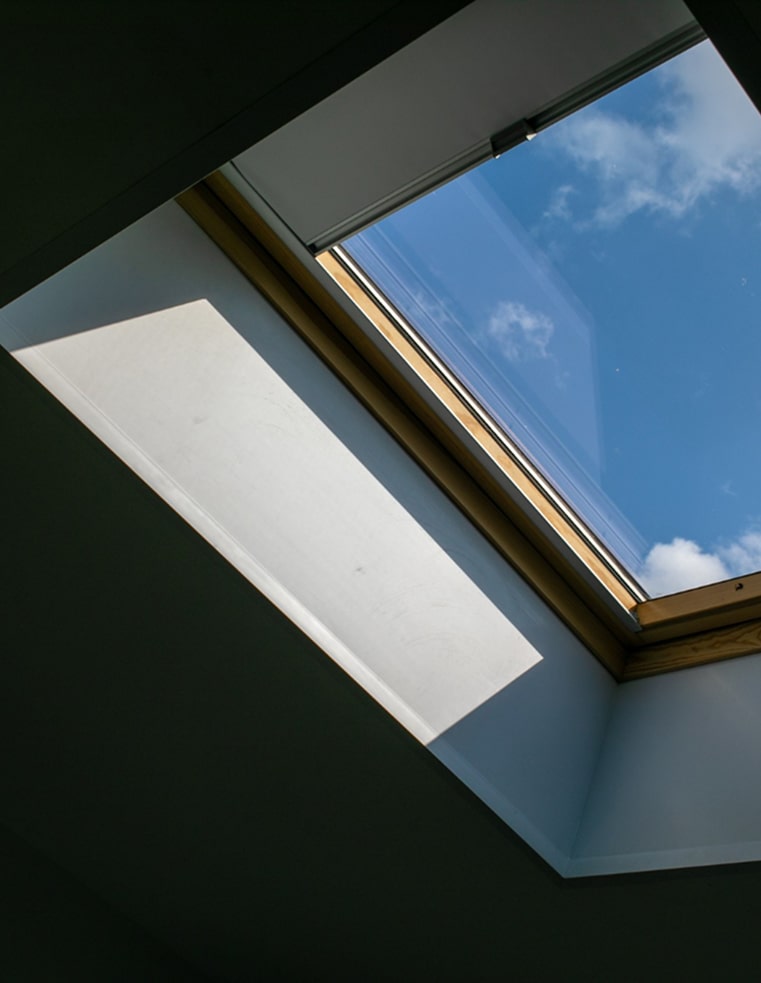 Rooftop & Skylight Cleaning